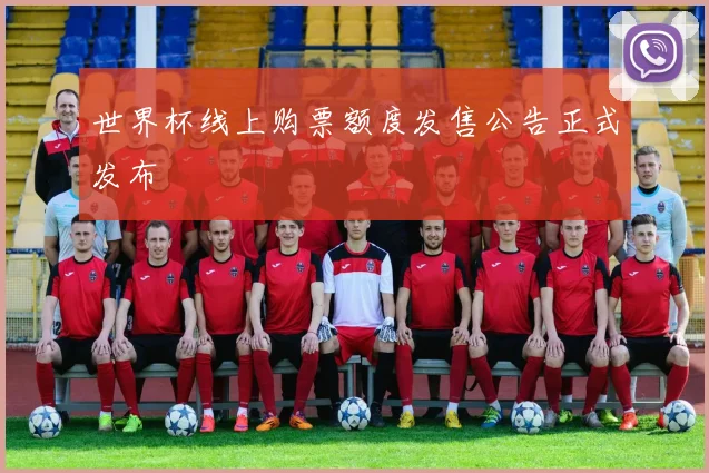 世界杯线上购票额度发售公告正式发布