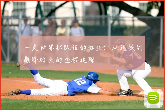一支世界杯队伍的诞生：从选拔到巅峰对决的全程追踪