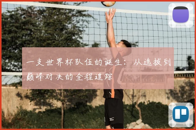 一支世界杯队伍的诞生：从选拔到巅峰对决的全程追踪