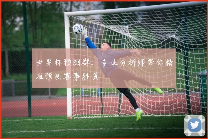 世界杯预测群：专业分析师带你精准预测赛事胜负