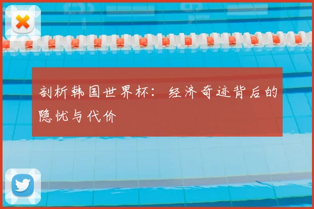 剖析韩国世界杯:经济奇迹背后的隐忧与代价