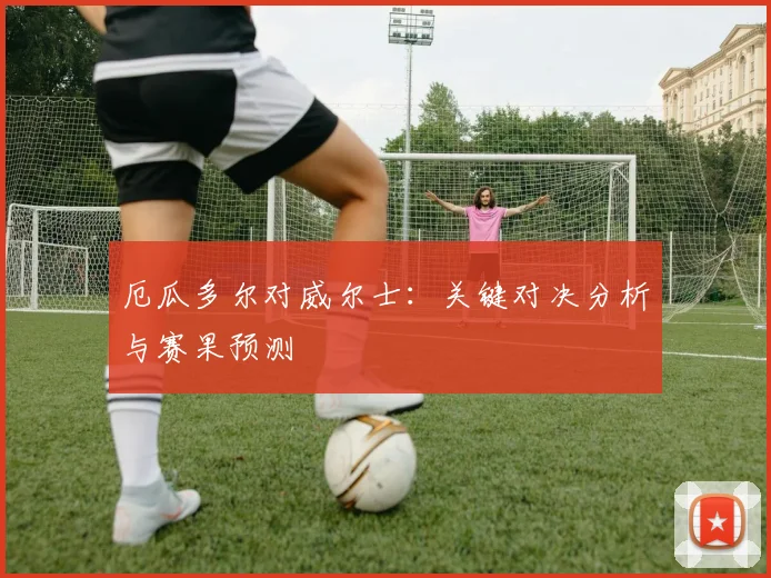 厄瓜多尔对威尔士:关键对决分析与赛果预测